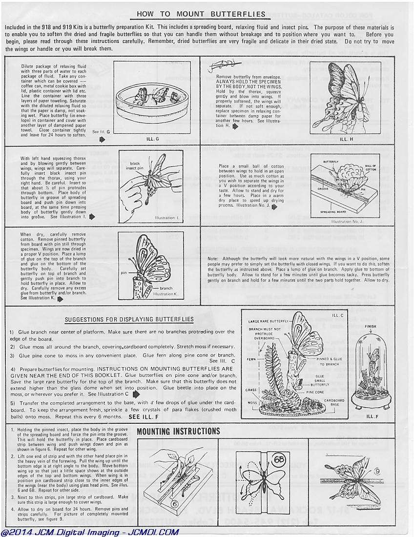 The Butterfly Company(NY) ads, forms, fliers